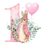 Age 1 Bunny