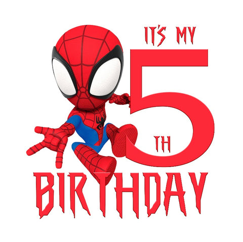 Age 5 Spiderman Birthday