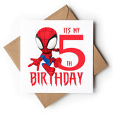 Age 5 Spiderman Birthday