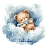 Baby Bear Boy