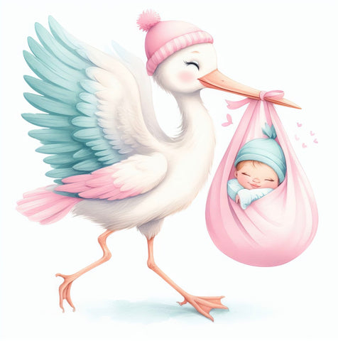 Baby Girl Stork