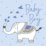 Elephant Baby Boy