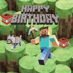 Minecraft Steve