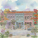 Singapore Shophouses