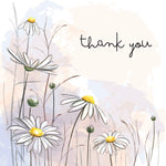Thank You Daisies