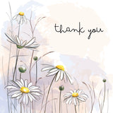 Thank You Daisies