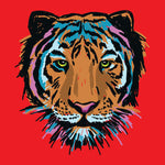 Colourful Tiger Face