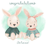 Twin Bunnies - Boy And Girl
