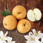 Asian Pear and Lily
