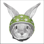 Biker Bunny