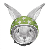 Biker Bunny
