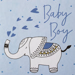 Elephant Baby Boy