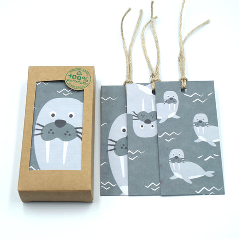 I Will Walrus Be Your Friend - Box of 10
