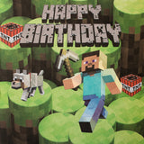Minecraft Steve